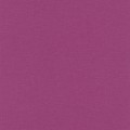  448542 rasch Florentine 2017 0.53*10 