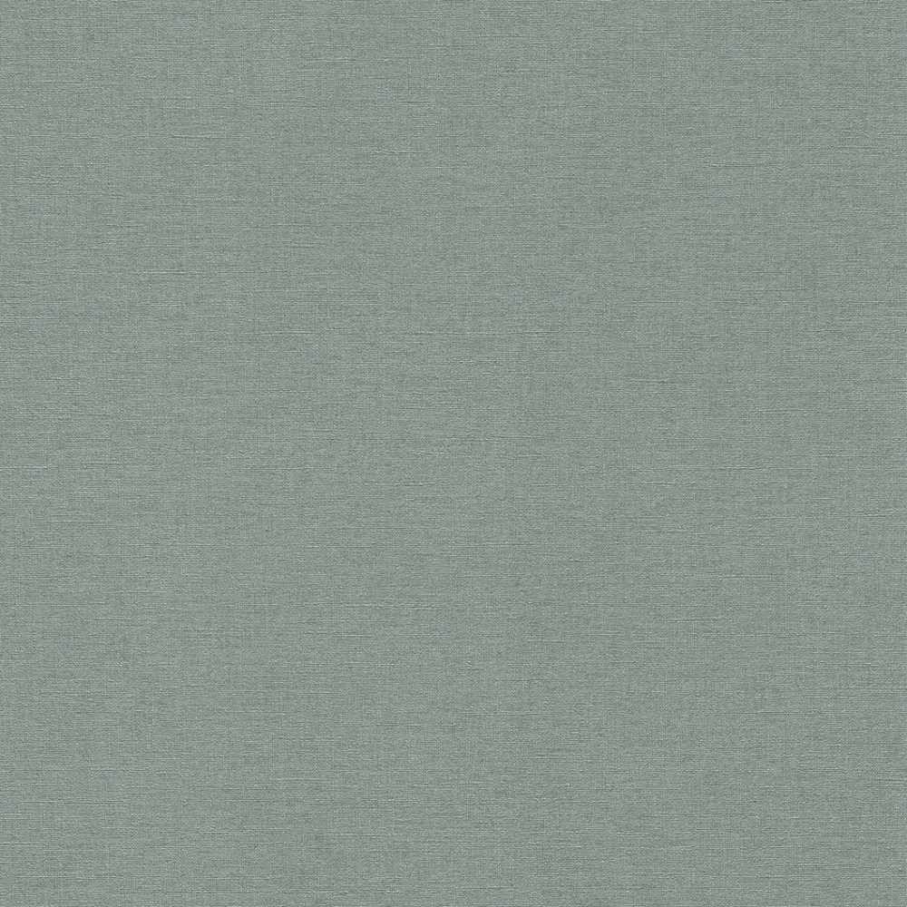  rasch 0.53*10  449846