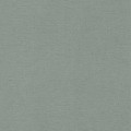  rasch 0.53*10  449846