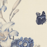   Rasch Barbara 527643