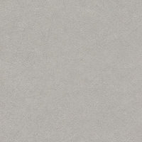      Concrete 520255