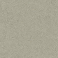      Concrete 520279