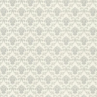  Rasch Maximum XIV 954401