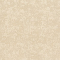   Rasch Maximum XV 832372