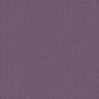   Rasch Poetry 423976